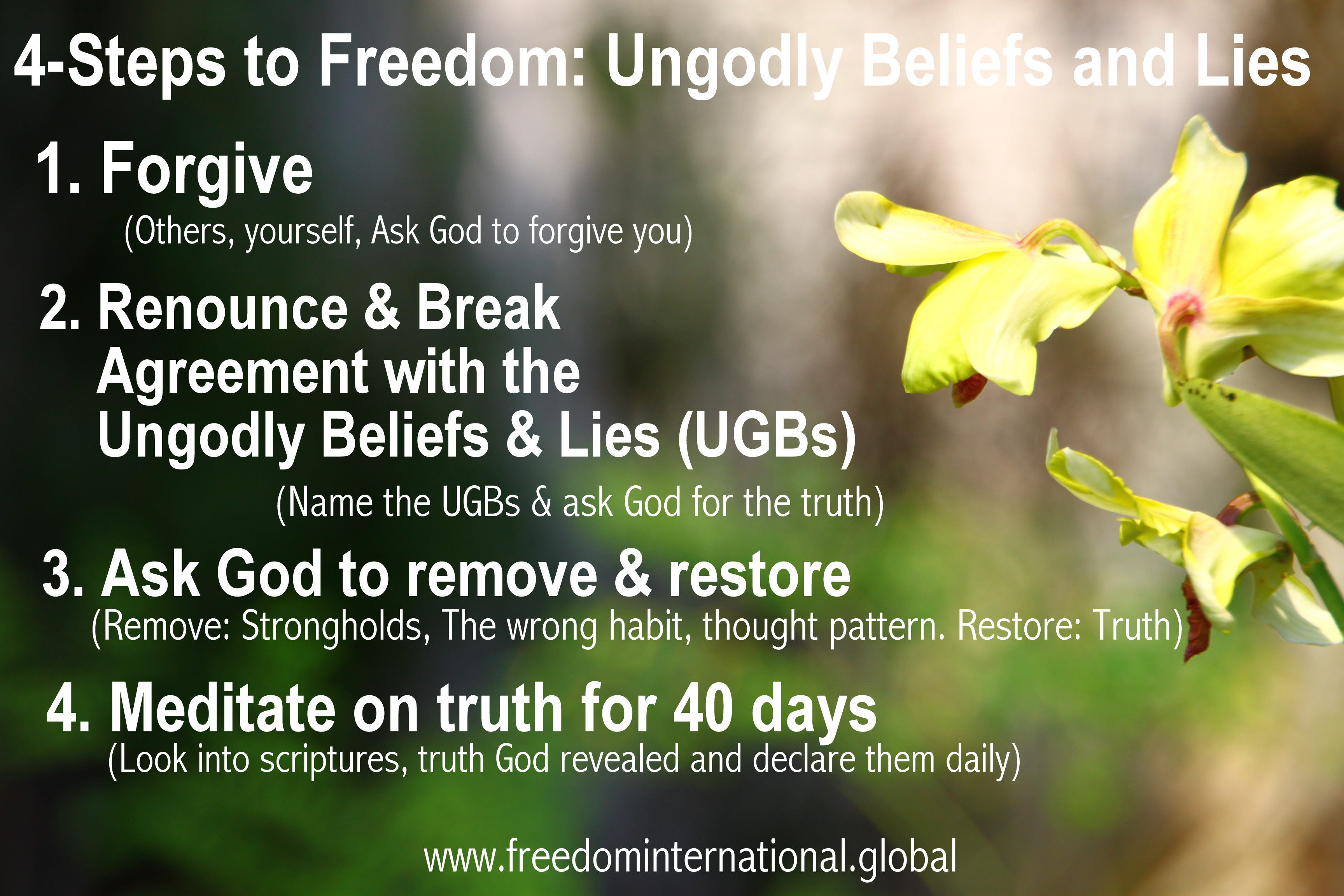 4-Steps to Freedom: Ungodly Beliefs and Lies