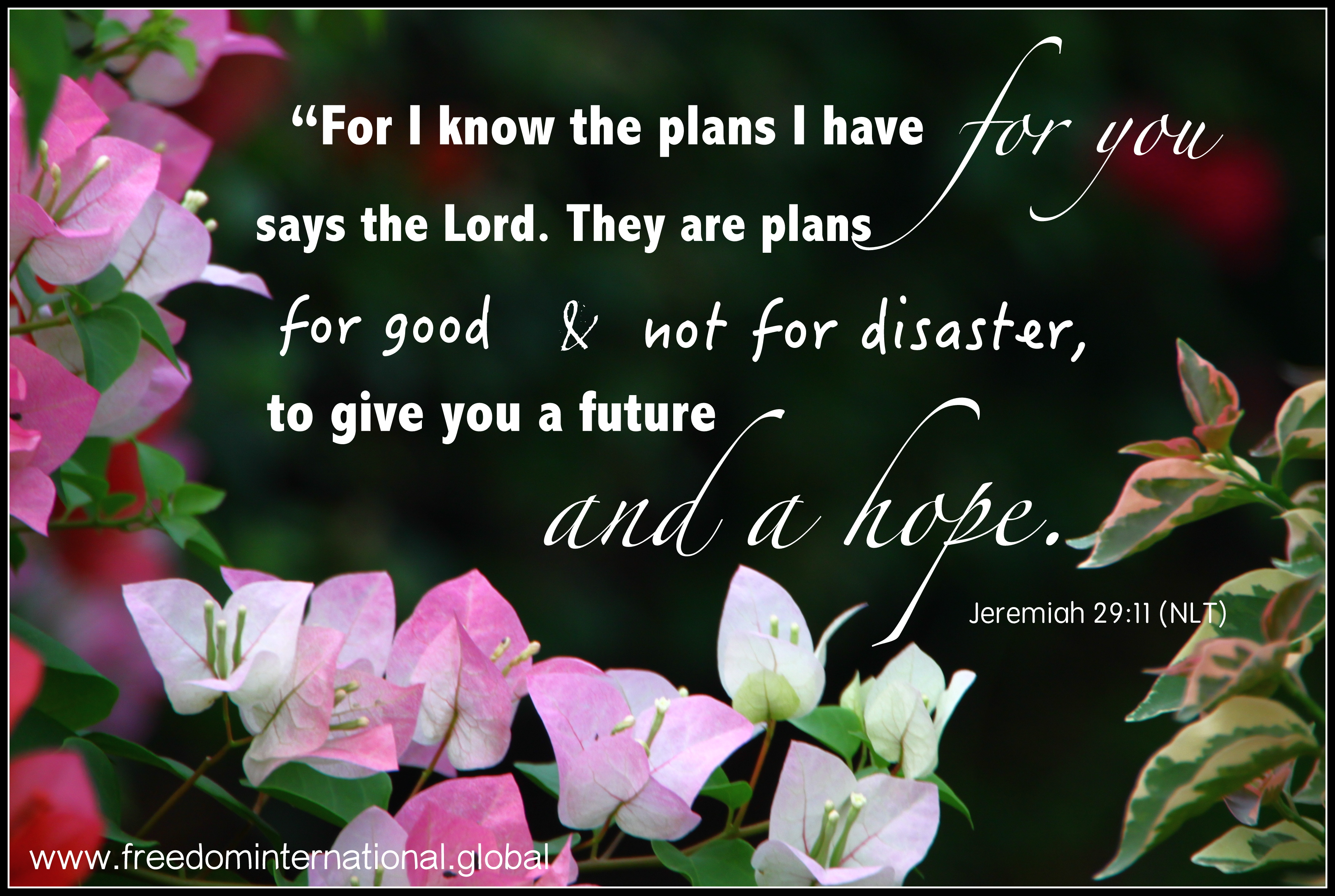 Abusive Stepmother: Traumatised but Healed & Free!
