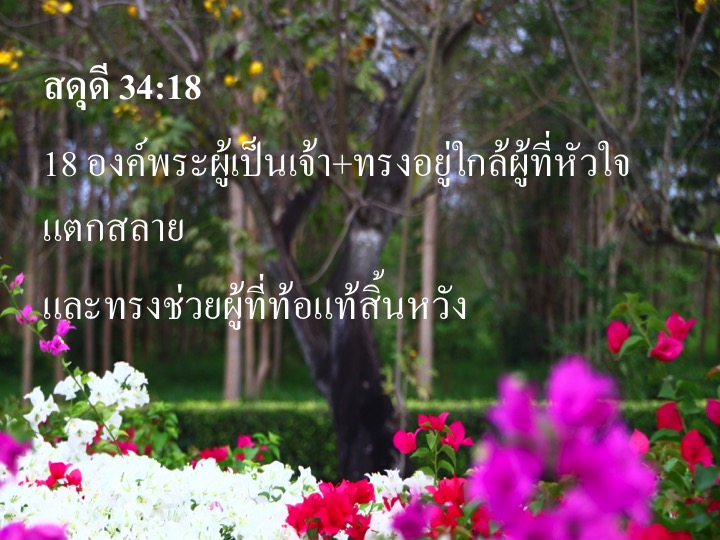 การเยียวยารักษาจากความหดหู่ใจ