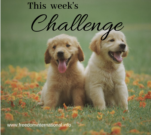 This Week’s Challenge: Get Rid of Oppressive Thoughts